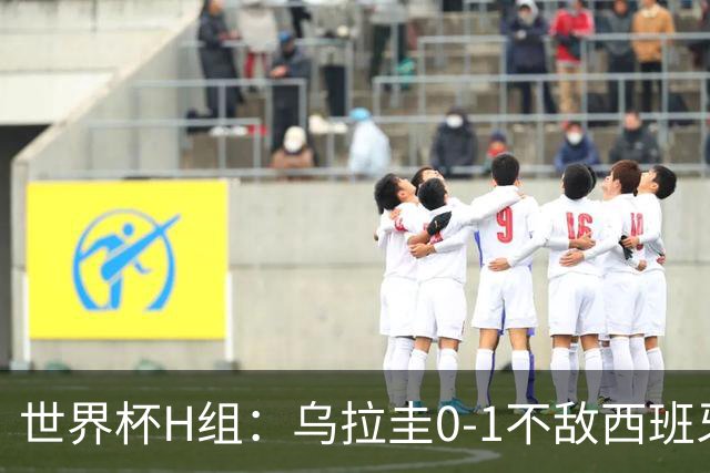 世界杯H组：乌拉圭0-1不敌西班牙 佛得角0-0战平沙特阿拉伯