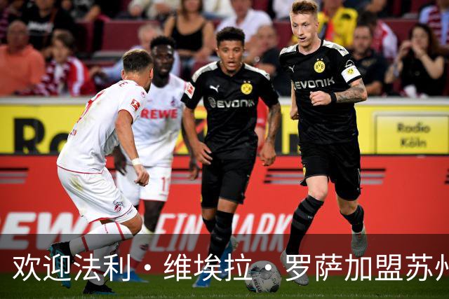 欢迎法利·维埃拉·罗萨加盟苏州东吴足球俱乐部