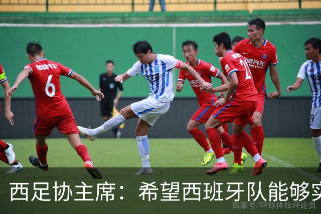 西足协主席：希望西班牙队能够实现夺冠的目标，但必须一步一步来